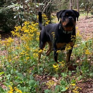 Meet your Posher, Mary